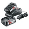 Bosch 18V 2 Accu's 2.5Ah + Oplader Voor Het 'Power For All' Accuplatform Van Bosch, Gardena En O.a. Gloria -Bosch Bosch 123 1051