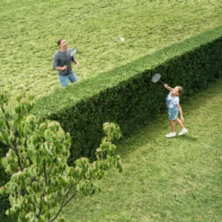 Bosch 18V Heggenschaar AHS 50-20 (zonder Accu) -Bosch Bosch 123 1617