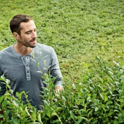 Bosch 18V Heggenschaar AHS 50-20 Li 50cm -Bosch Bosch 123 1636